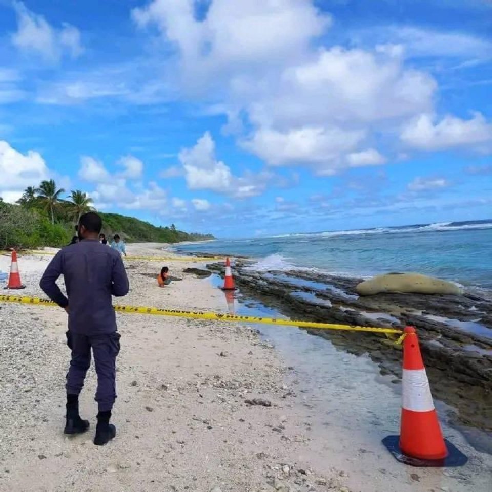 Addu in fenunu seal ah kaan nudheyn council in angaifi