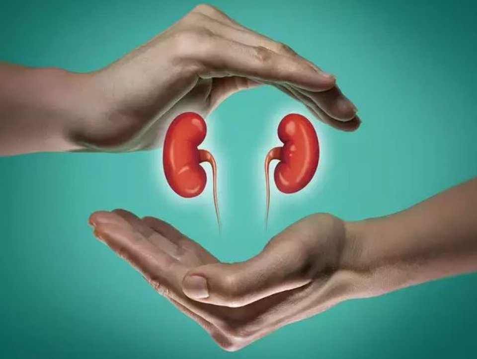 Kidney  balithakun dhuruve thibumah mikankamah samaaluvey!