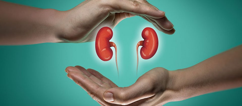 Kidney bali thakun dhuru vumah kaanvee baeh keunthah!