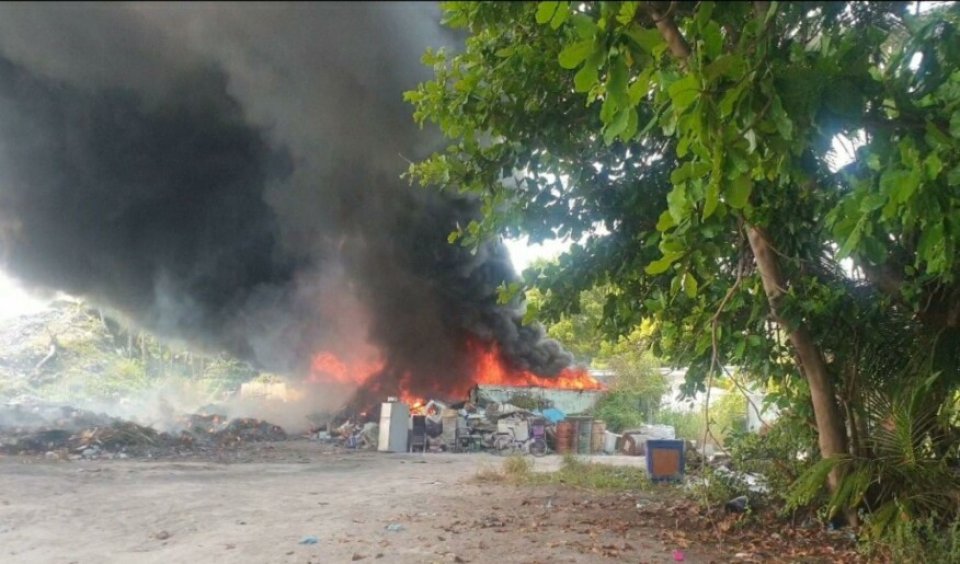 Alifushi kuni gondu sarahaddhugai huri fiber thakehgai roave andhanee