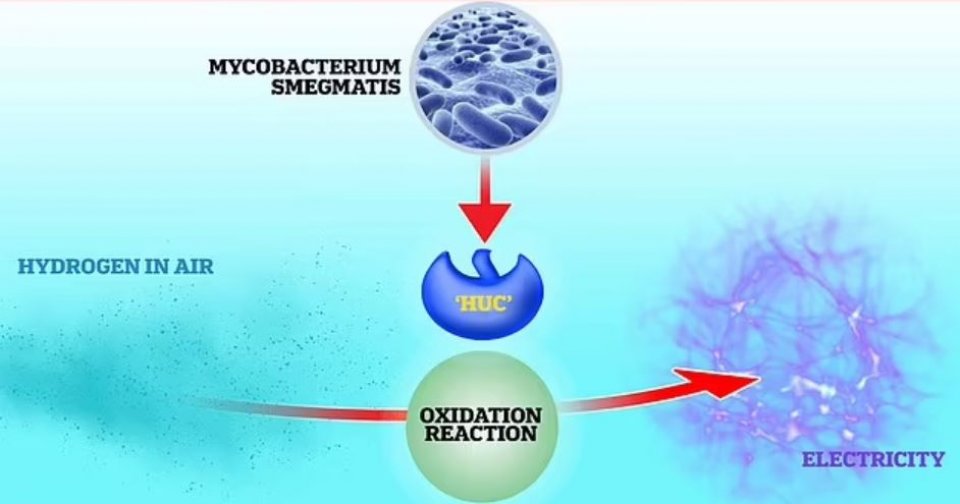 Vain current ufahdhaa enzyme eh hoadhaifi