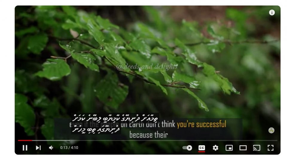 Youtub in dhivehi subtitle mihaaru araane!