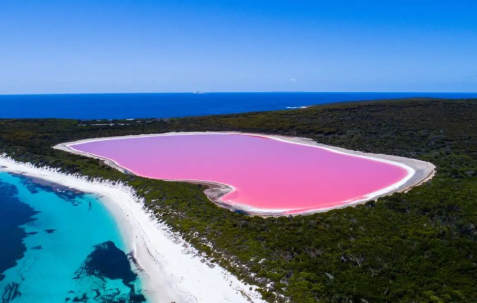 Lake Hillier: Loa thah ajaaibu kohlaa fiyaathoshi kulaige fengandu!