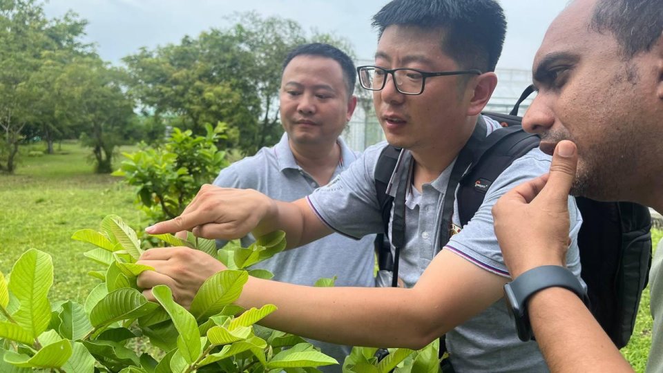 Ruhgahah dhimaavaa fanifakusaa control kuran China ge maahirunnai eku masvaraa kohfi