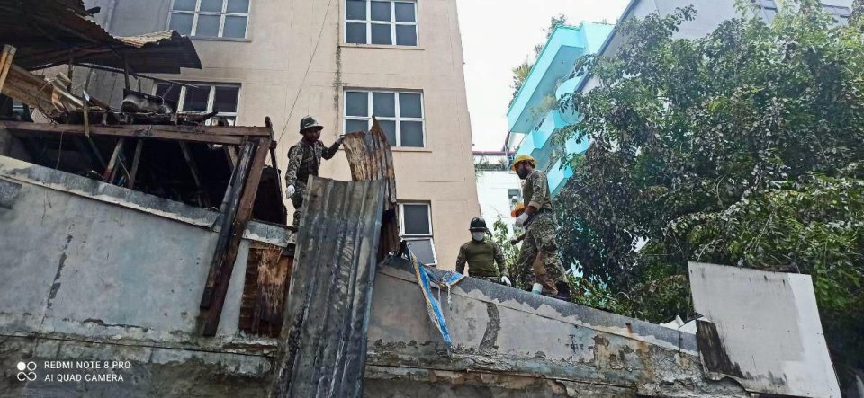 Fruit Tree Apple fihaaraige gudhan vanee beynun nukurevey varah andhaafai: MNDF