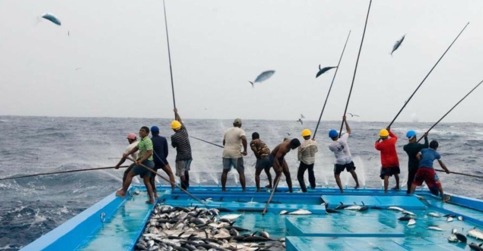 Dhuniyeygai enme ginain kandumas beynun kuraa gaumakah dhivehi raahje!