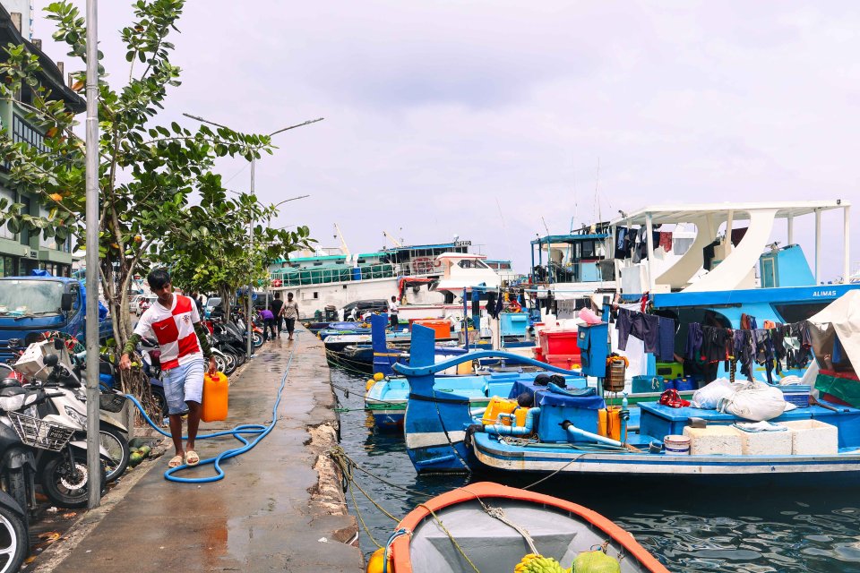Magu fulhaakurumuge masahkaiy kuran masmarket sarahahdhugai huri dhaonithah nagan anagifi