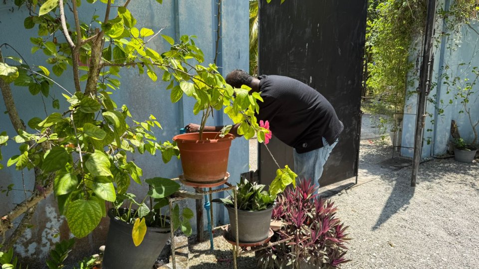 Kuri ah oiy 6 gadi iru ge therey ga fuvahmulakah fen dhookuraane: Heena