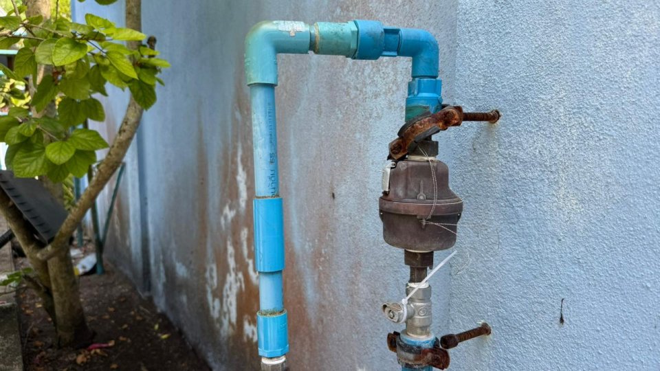 Fenaka in bunee Fuvamulaku ge massala hallu vejje kamah, ekamaku huree seal alhuvaafi!