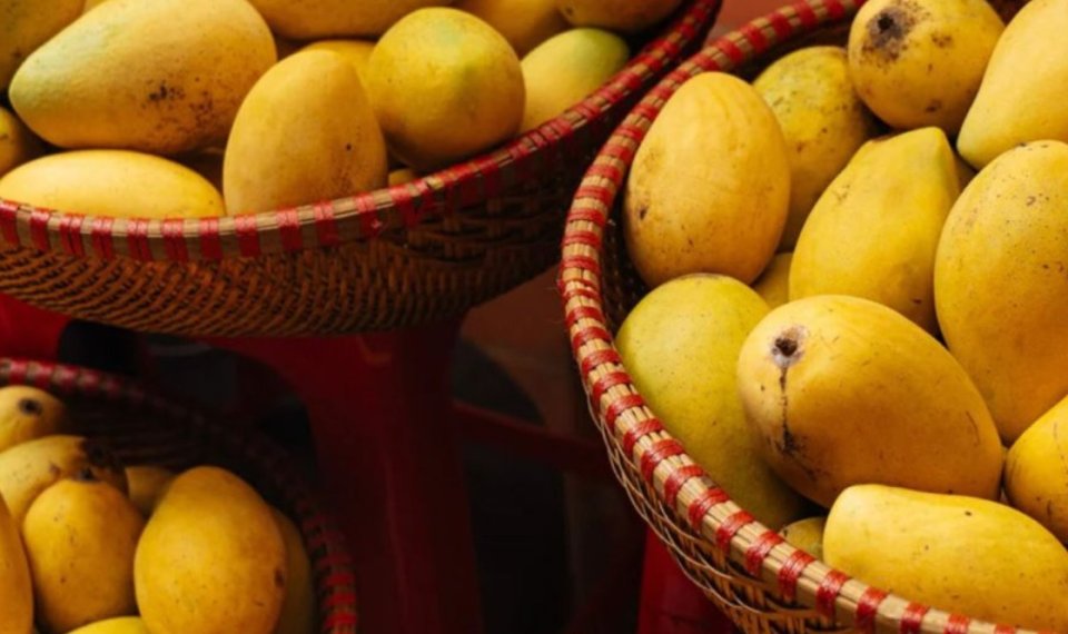 Hendhunu ge naasthaa gai an'bu himanan vee 4 sababeh!