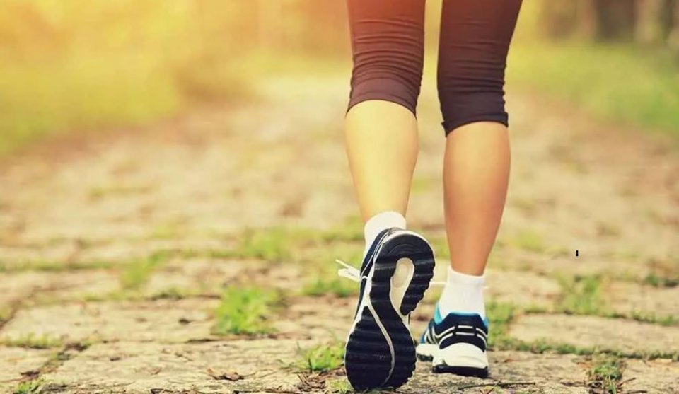 Fathis gadeegai hingaalan nukuthumuge faidhaa thah varah gina!