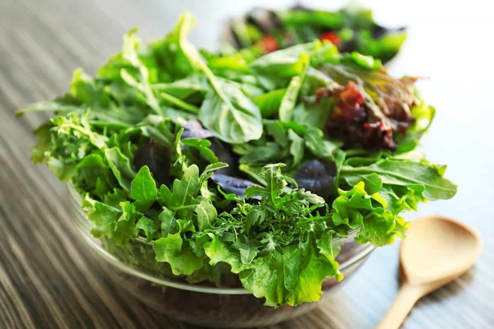 Fehikan gadha faiypilaa velin sihhathah gina faidhaa thakeh!