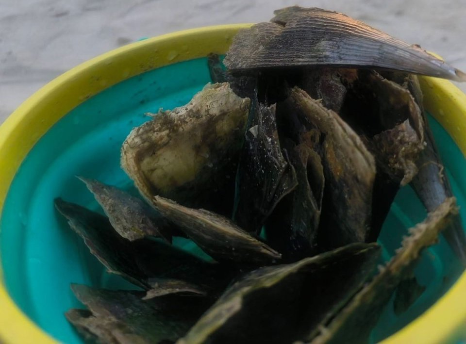 Rasfannu moodhun thoonu ithaathakeh fenijje