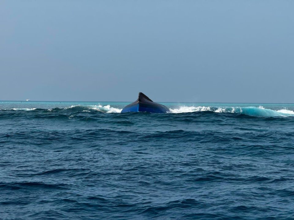BREAKING: Mudhaa ufulaa boat in gellunu dhivehi meehaa maruvefai ovvaa fenijje