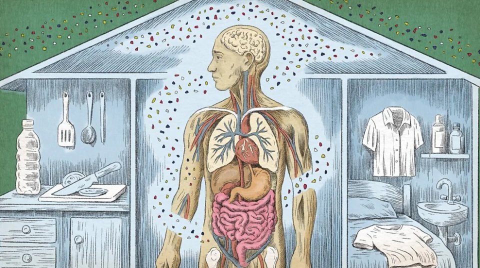 Thi kevenee hus plastic, rahkaatheri vaanee kihineh?