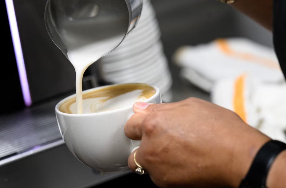 Reygandu ge araamu ninjakah coffee buin huttaalan vee kon iraku?