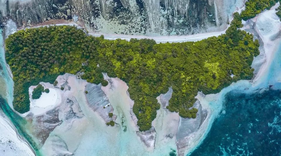 Council in beelamah hulhuvaalaafai vanikoh, savaahili addu ge ihthisaasun vakikoffi