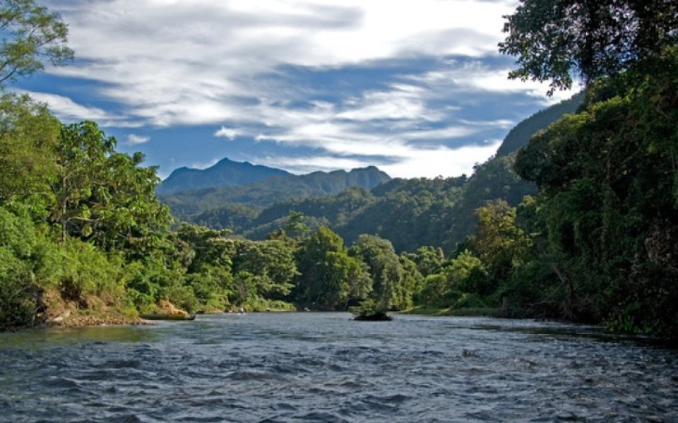 Mulu National Park: Borneo ge jangali thakaai foruvifaivaa hoholha thakuge sirru!