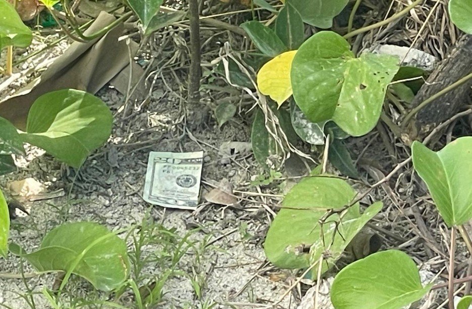 Magu thakun 20 dollar ge note thah fenunee keehve kan engijje