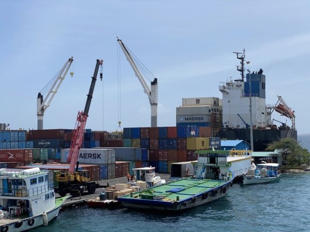 Import kuri mudhaluge minvaru 35% dhahve, aamdhanee 66% dhah