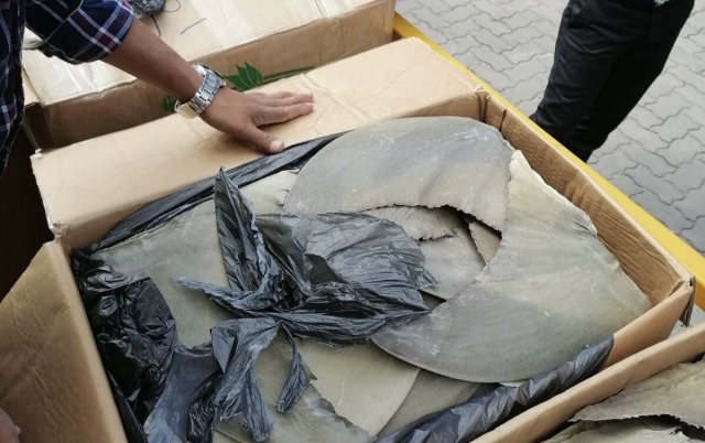 Update: 21 Fosheegai huri 429 Kg ge miyaru uraha athulaiganefaivey: Customs