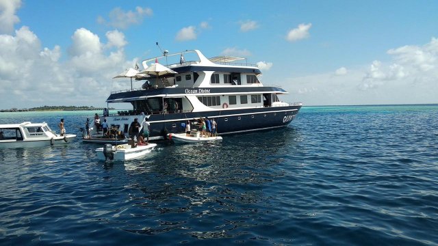 UPDATE: Safari gai hingi alifaanuge haadhisaa gai meehaku fihijje