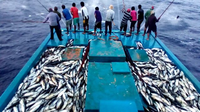 UK-Maldives mashvaraathakun FTA unikuri sababu haamakurumah MDP in govaalaifi