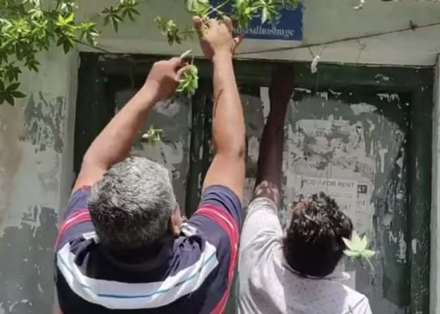 Kinbigasdhoshu geah Jabiru gellun dhin massala balanee