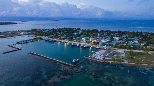 Dhaandhoogai hashi vikka kamuge thuhumathugai bayaku hayyaru koffi