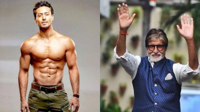 Tiger ge bappa ge role ah Amitabh
