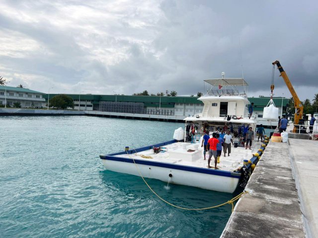 Keekimini ah mas gannan fashaifi