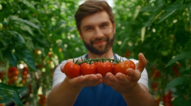 Tomato: Firihenun konmehen ves kaan jehey tharukaaree eh! 