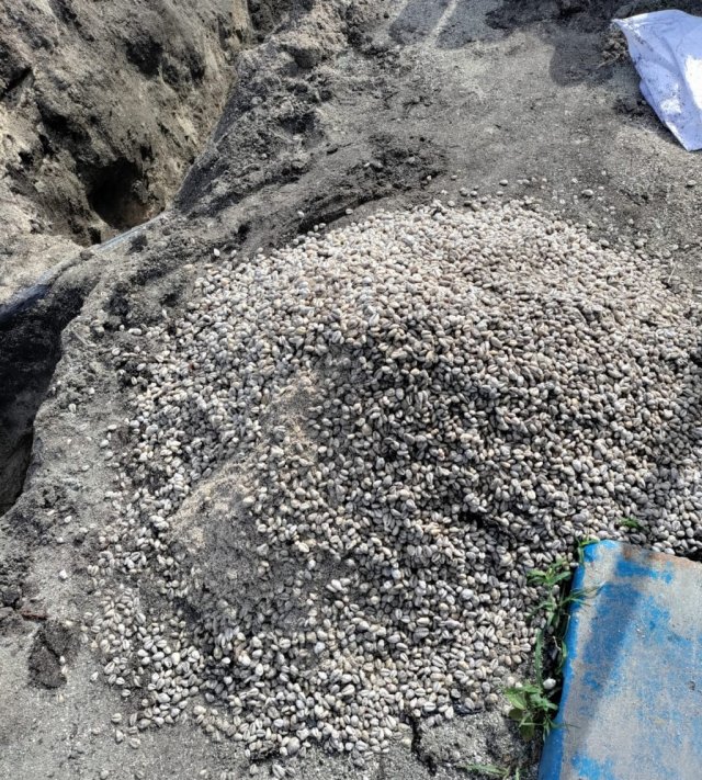 Rinbudhoon dhuvasvee bodu boli valheh fenijje