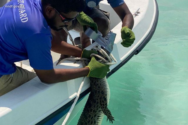 Hoarafushi falhuthereyn fenunu kinboo beyru kandah dhookollaifi