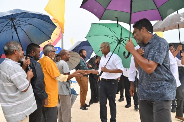 Primary gai MDP ge 