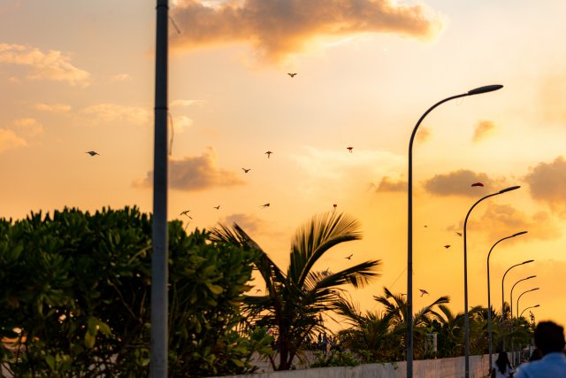 Usfasgandu kairin maruvefa oiy dhivehi firihenaku fenijje