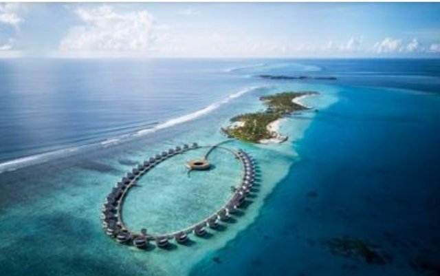 100% Dhivehi viyafaari thakun 7% maaru kuran jehey gothah islaahu koffi