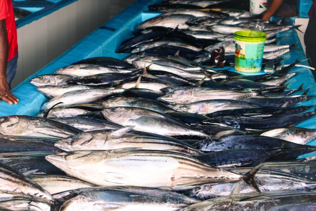 Mifco in kalhubila mas kilo eh ganna agu 18.50 ah bodu koffi 