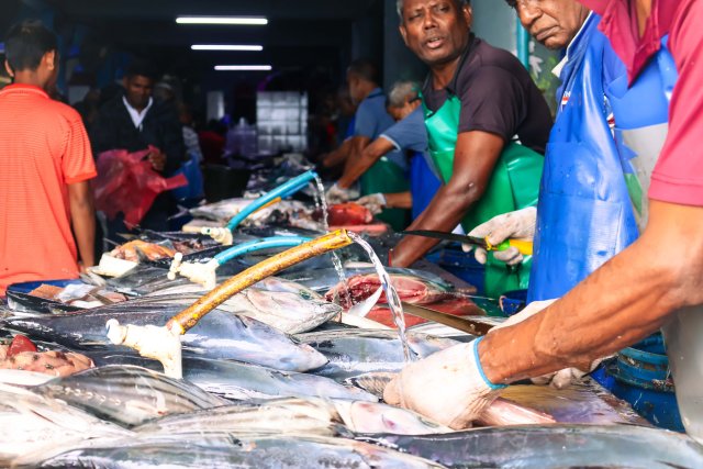 Roamas market kuyyah dhookohfai othee maaliyyathu gaanoon aa khilaafah