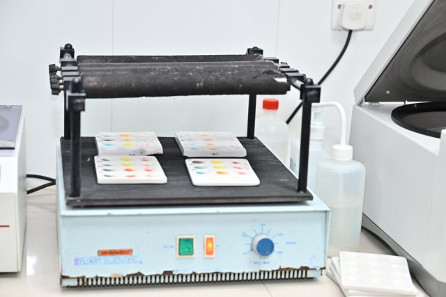 Leygai hunna virus thah dheneganna Nucleic Acid Testing Raajjeygai fashaifi