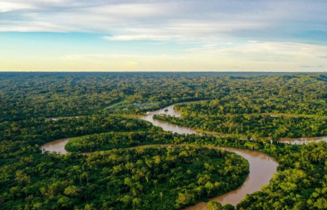 Amazon jungle in ethakeh haas aharu vee avasheh!