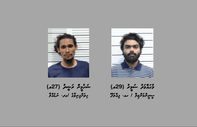 Meehaku raheenu koh feyrunu massala ehgai 2 meehaku hayyaru kohfi