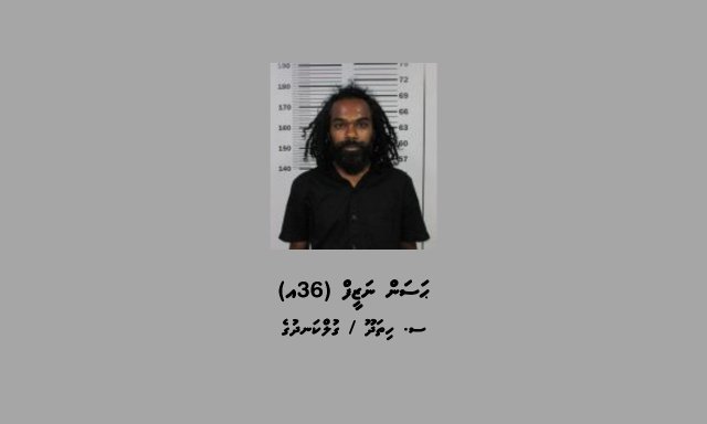 Addu drug network gai himeney ithuru meehaku hayyaru koffi