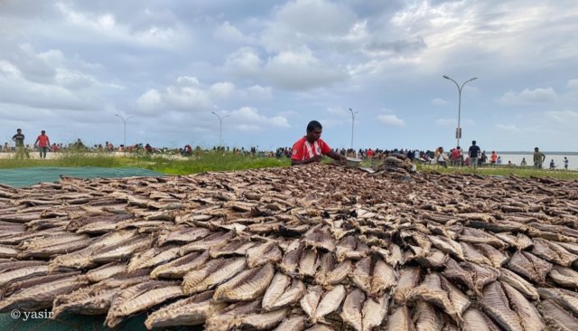 Mahuge baavaiythakuge ufehdhun thah ithuru kurumah financing scheme eh tha'aaraf koffi