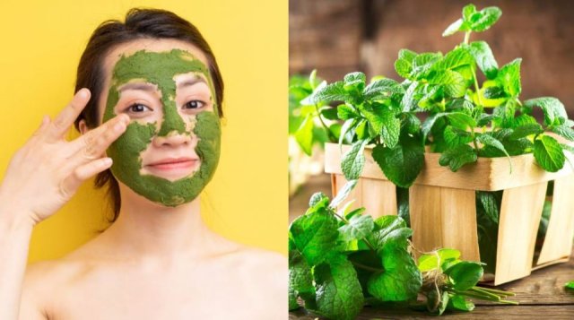 Kudheena fathun hamuge sihhathah gina faidhaa thakeh!