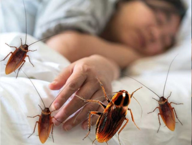 Kurafi fenvaraa kan engi science verin hairaan vejje!