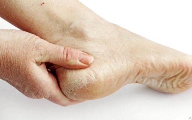 Funnaabu falhaigen dhiumah dhevidhaane geveshi 