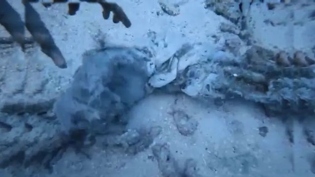 India meehun accident vi sarahadhdhuge kanduge adin meehehge atheh fenijje