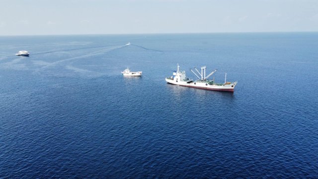 Miyaru hamalaaehgai aniyaavi fathuruveriehge eh fai burikollan jehijje