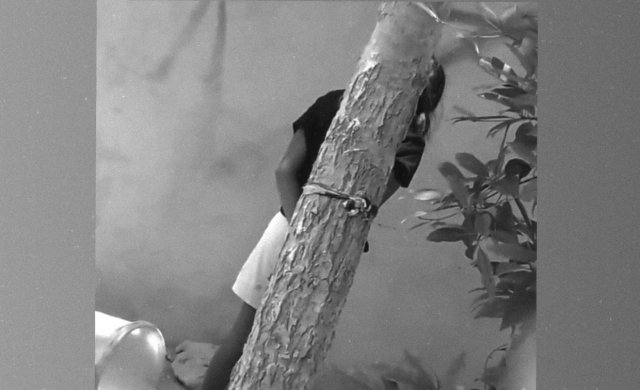 Kudakujjaku gaheh gai bandhe aniyaakuri massala eh balanee